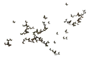 Butterfly Wall Sculpture Small Horizontal Flight Right