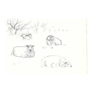 Robert Angeloch German Sheep Landscape Drawing For Sale