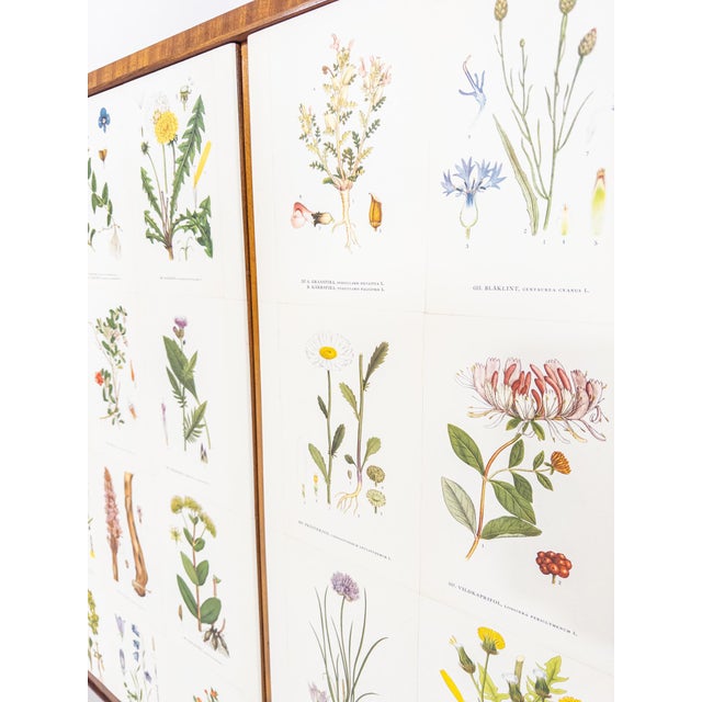 Swedish Modern Flora Sideboard, 1940s For Sale - Image 10 of 14