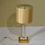 Acrylic Glass and Brass Italian Table Lamp with Silk Lamp Shade, 1960s For Sale - Image 3 of 9
