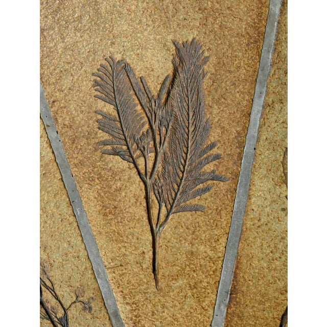 Oval Les Herbiers Coffee Table by Roger Capron for Vallauris, 1960s For Sale - Image 12 of 18