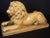 A large English lion figurine of glazed stoneware featuring a recumbent lion with fine modelling to the head and body....
