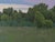 "Where Evening Rests" is an oil on canvas landscape painting by Michael Magrin, completed in 2026. A stand of trees...