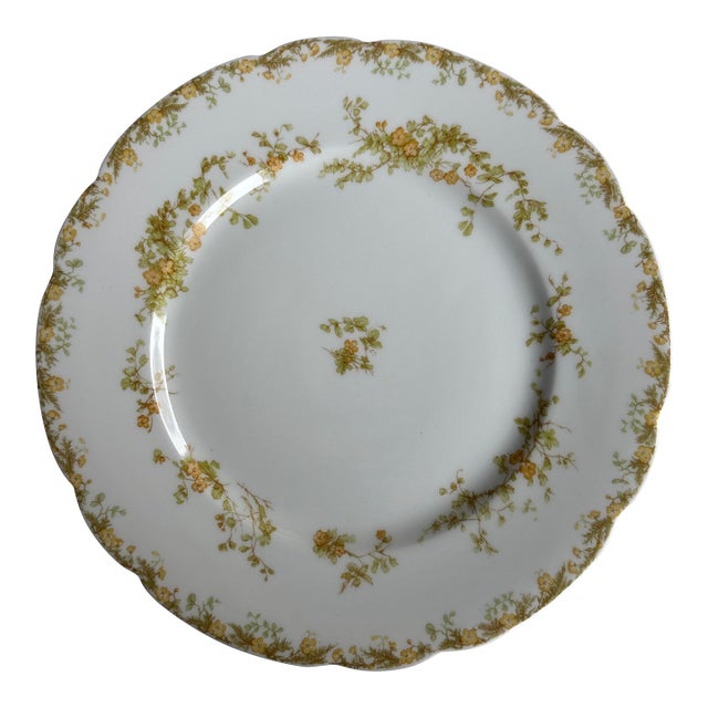 Late 19th Century Haviland Limoges Venetia Porcelain Plates - a Pair For Sale