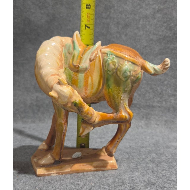 Trio of Chinese Tang Dynasty Style Sancai Glazed War Horses For Sale - Image 11 of 18