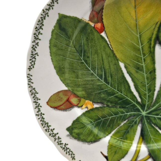 1990s Taitù Natura Botanical Bread Plates by Emilio Bergamin, Italy 1992, Set of 3, 6.5" For Sale - Image 5 of 9