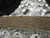 1920s Gilt Brass and Crystal Beaded Basket Chandelier For Sale - Image 9 of 11