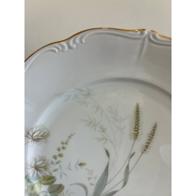 Vintage Forest Bavaria Dinner Plates With Gold Rim - Set of 8 For Sale - Image 4 of 12