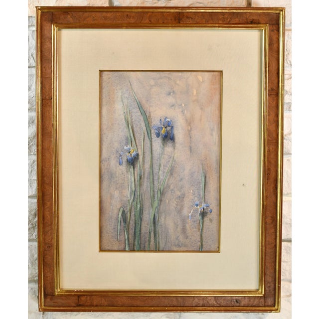 Original Vintage Thomas Daly Iris Flower Watercolor Painting For Sale - Image 13 of 13