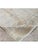 Add sophistication with an 8x10 Transitional Area Rug from India. Handwoven with intricate details, it brings style to any...