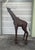 Metal Lifesize Welded Metal Giraffe . Great Garden Decor For Sale - Image 7 of 12