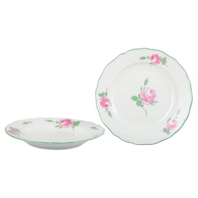 1930s Porcelain Dinner Plates with Pink Roses Pattern from Meissen, 1930s, Set of 2 For Sale - Image 5 of 5