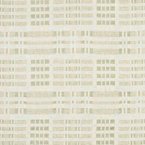 Schumacher Brimfield Fabric in Sage