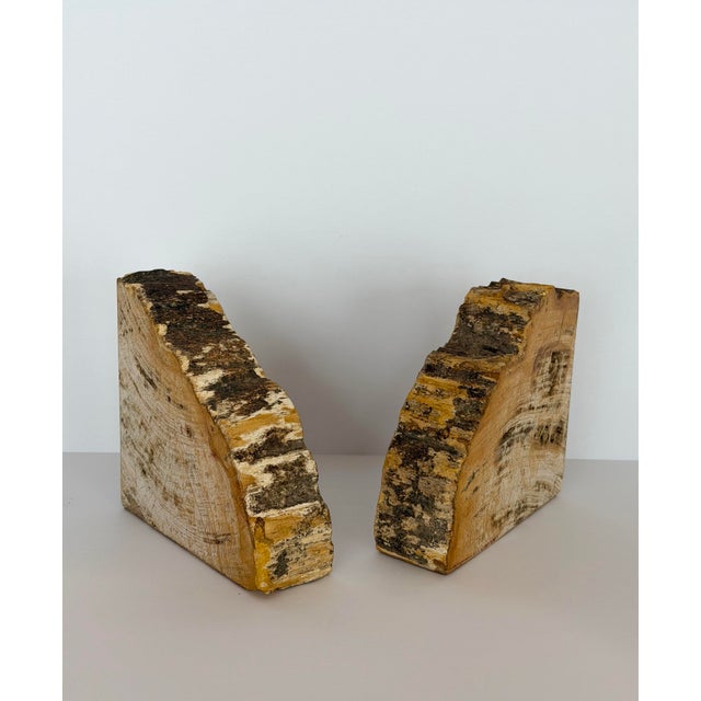Vintage Sculptural Petrified Wood Bookends - A Pair For Sale In Detroit - Image 6 of 11
