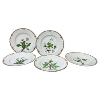 Flora Danica Porcelain Bread and Butter Plates by Bing & Grøndahl, Denmark, 1927, Set of 5 For Sale