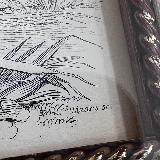 Black Pair of antique engravings of Rhinoceroses signed Stewart and Lixars // set of two // custom framing // burlwood frames // collectible For Sale - Image 8 of 10