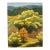 Contemporary Oil Painting "Landscape 1, Bath County" by Teresa DiMarco For Sale