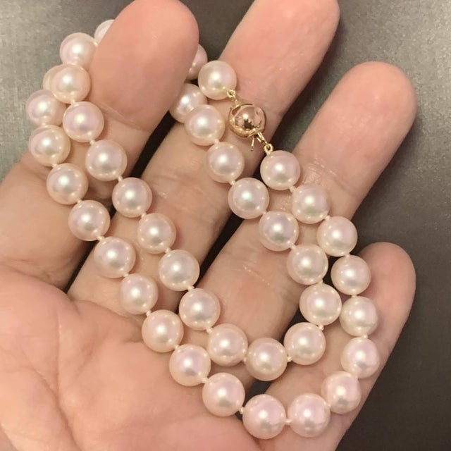 Akoya Pearl Necklace 14k Yellow Gold Certified For Sale - Image 4 of 10