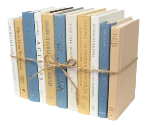 Decorative Books - Magnolia Book Bundle - 1 Foot of Blue and Tan Books