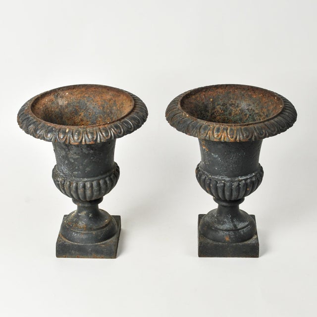 French Pair of Small Vintage Cast Iron Urn Planters 12" For Sale - Image 3 of 8