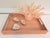 Elegant faux shagreen decorative tray featuring a finely textured faux snakeskin finish in a warm blush-sand tone with...