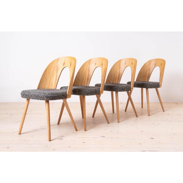 Mid-Century Modern Dining Chairs by Antonin Šuman, Czechoslovakia, 1960s, Set of 5 For Sale - Image 3 of 18