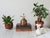 Vintage brass plant atomizer mister or spritzer. Beautiful patina. Marked "Made in Hong Kong". For decorative use only....
