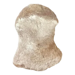 Very Large Antique Whale Vertebrae #6