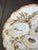 Ceramic Set/6 Rare Antique French Haviland & Co. Limoges Porcelain Turkey Pattern Oyster Plate 8.75" With Sea Creatures For Sale - Image 7 of 16