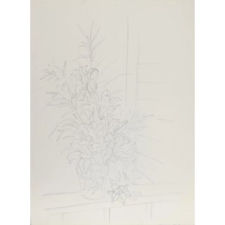 Eve Nethercott, Lilies (45), Pencil on Paper For Sale