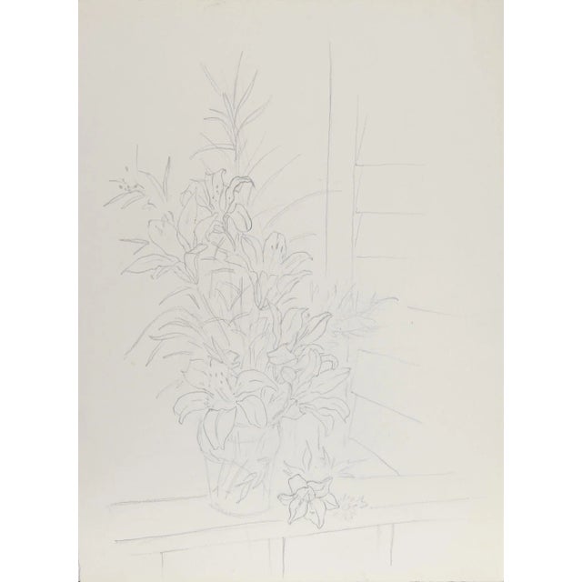 Eve Nethercott, Lilies (45), Pencil on Paper For Sale