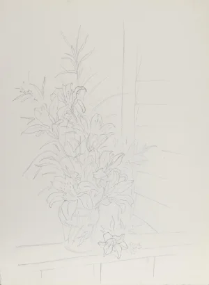 Eve Nethercott, Lilies (45), Pencil on Paper