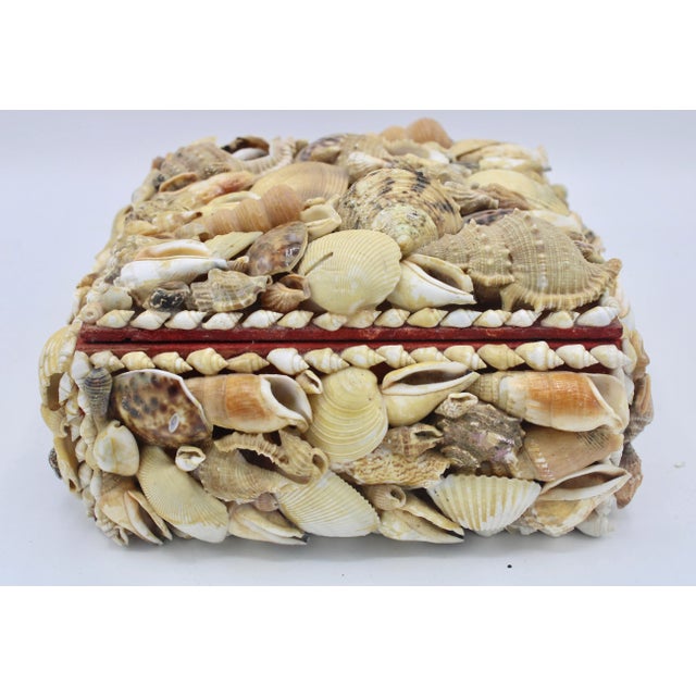 Large Vintage Seashell Encrusted Jewelry Box For Sale - Image 12 of 12