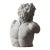 Bust of Laocoön, After the Antique, 20th Century For Sale