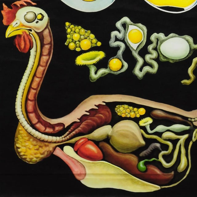 Vintage Country Style Chicken Hen Pull-Down Wall Chart by Jung Koch Quentell For Sale - Image 4 of 6