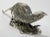 Antique Victorian Silver Plate Pheasant Sculptures, a Pair For Sale - Image 9 of 12