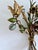 Italian Hand-Painted Tole Floral Bouquet Wall Sconce, 1940s For Sale - Image 15 of 18