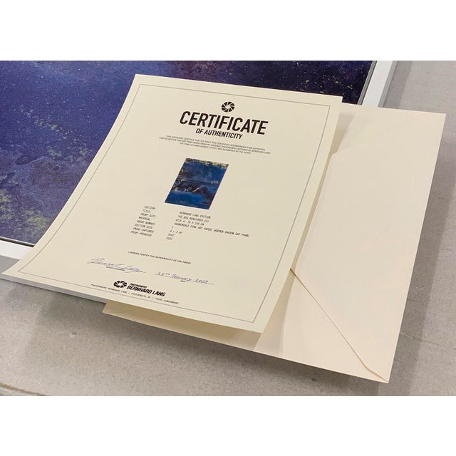 Photography "The_Bog_Renatured_006" Contemporary Limited Edition Fine Art Photograph Print by Bernhard Lang For Sale - Image 7 of 7