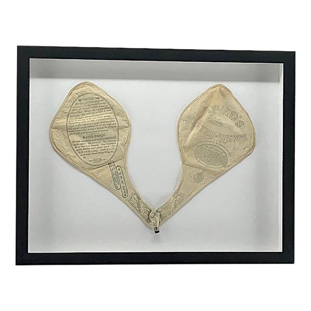 Framed Antique Water-Wings For Sale