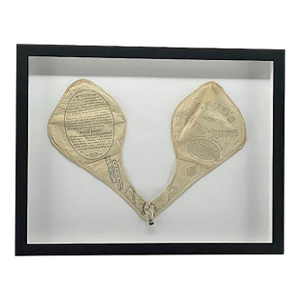 Framed Antique Water-Wings