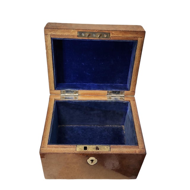 Late 19th / Early 20th Century Burl Walnut Box For Sale - Image 4 of 8