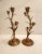 Late 19th Century Art Nouveau Brass Tulip Candle Holders - A Pair For Sale - Image 4 of 10