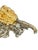 Vintage Partially Silvered Lambis Scorpion Spider Conch Shell in the Style of Bucellati For Sale - Image 10 of 10