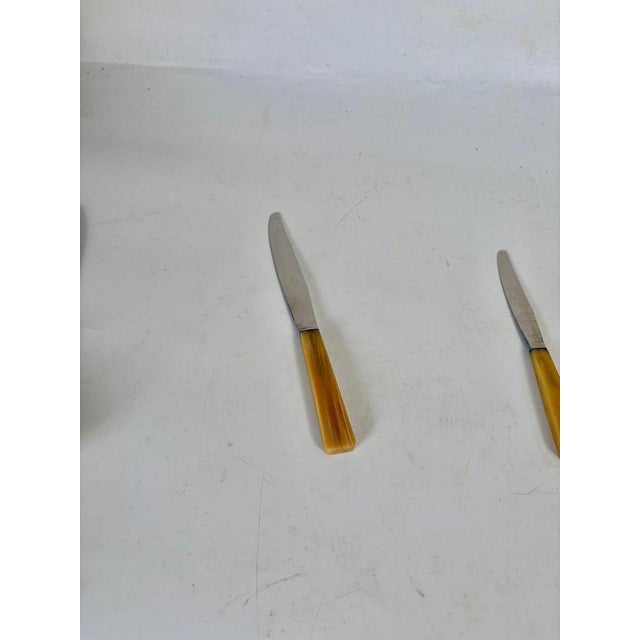Bakelite and Stainless Steel Knives, France, 1970s, Set of 21 For Sale - Image 3 of 10