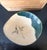 Set of Five Antique Ao-Oribe Ceramic Dishes with Tomobako Edo Period For Sale - Image 12 of 14