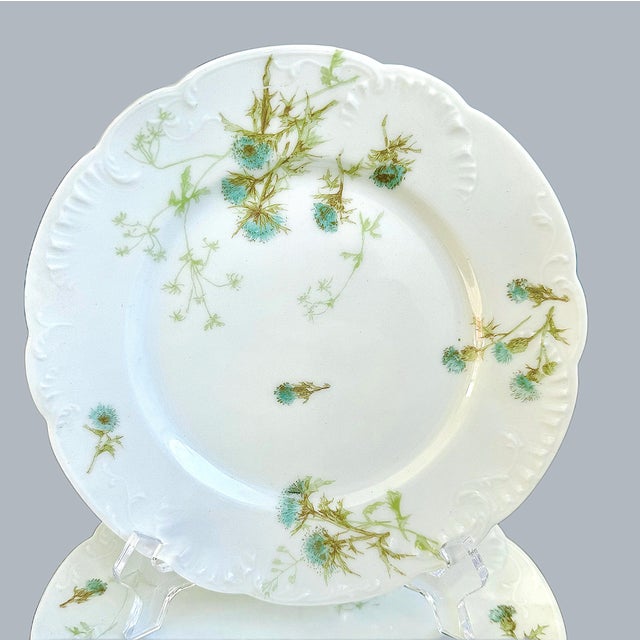 Antiques Haviland & Co. Limoges Porcelain Plates – Set of Six Schleiger 52S by Haviland Gorgeous and in near perfect...