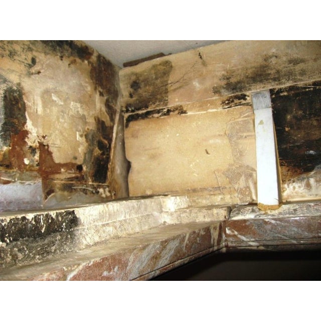 Fireplace in Belgian Breccia Marble For Sale - Image 10 of 13