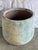 Monumental 20th century terra cotta garden urn. Classic soufflé form with thick rolled rim and textured stone-like body....