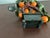 Mid 20th Century Vintage Chinese Bonsai/ Jade Tree With Mandarin Orange Fruit For Sale In Chicago - Image 6 of 8