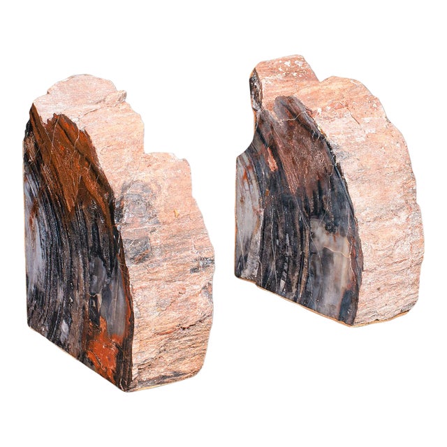 Pair of Prehistoric Large Volume Bookends, Petrified Wood, Book Rest, Geological For Sale